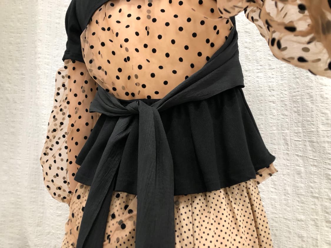 Dot sheer blouse 상품이미지1