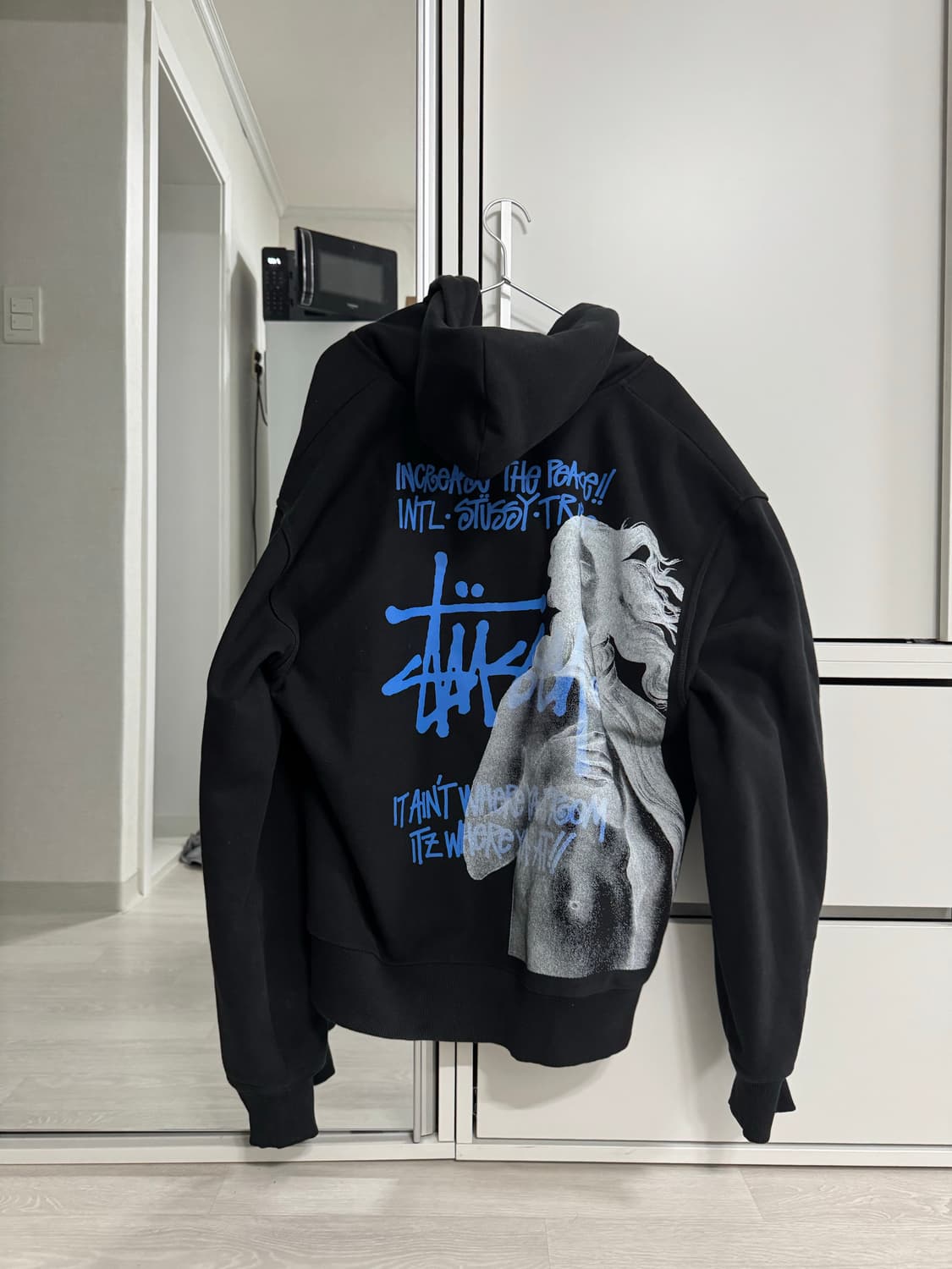 스투시 비너스 그래픽 후드 집업 상품이미지2