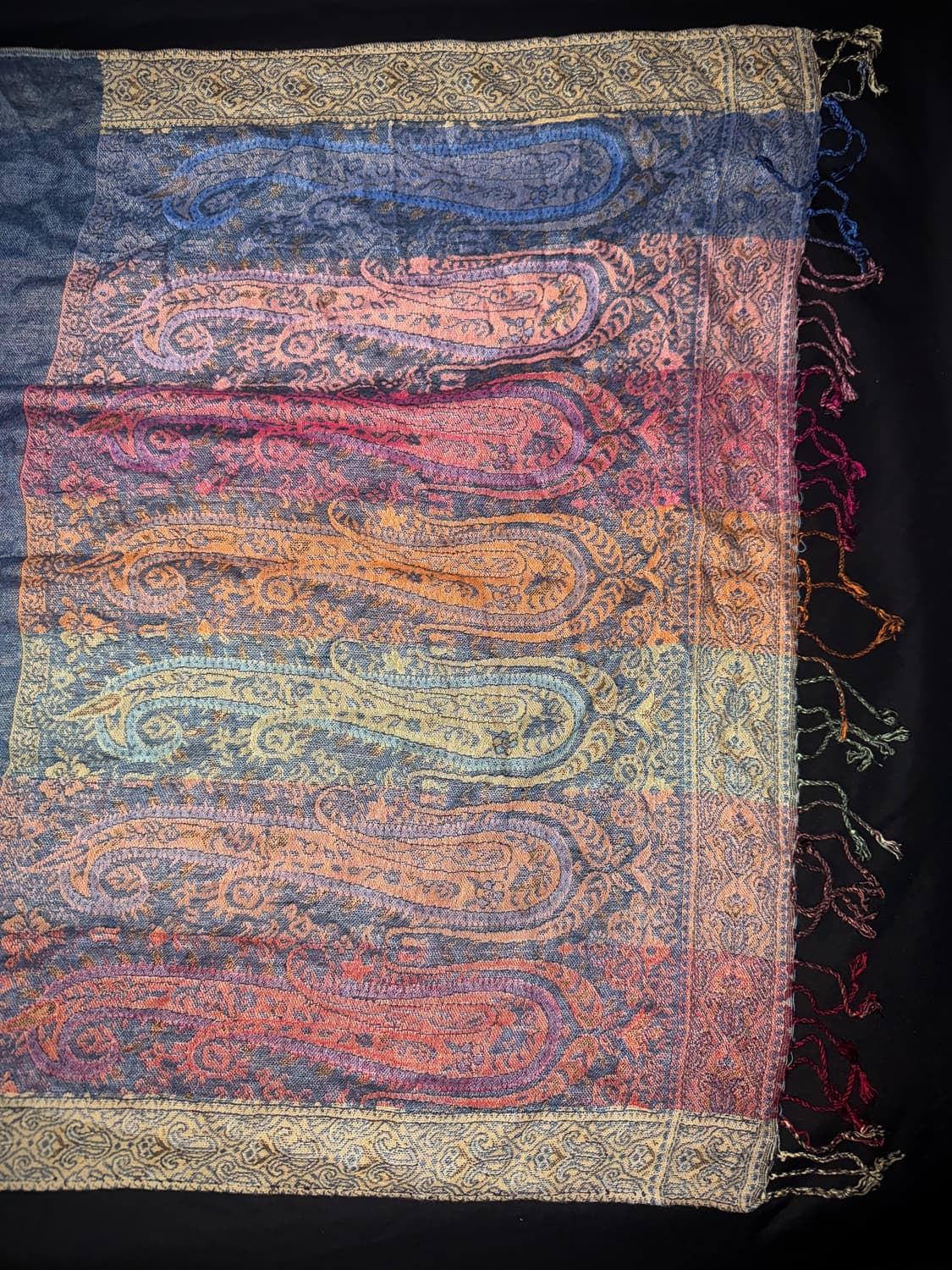 vtg Paisley Pashmina fringe Stole 상품이미지6