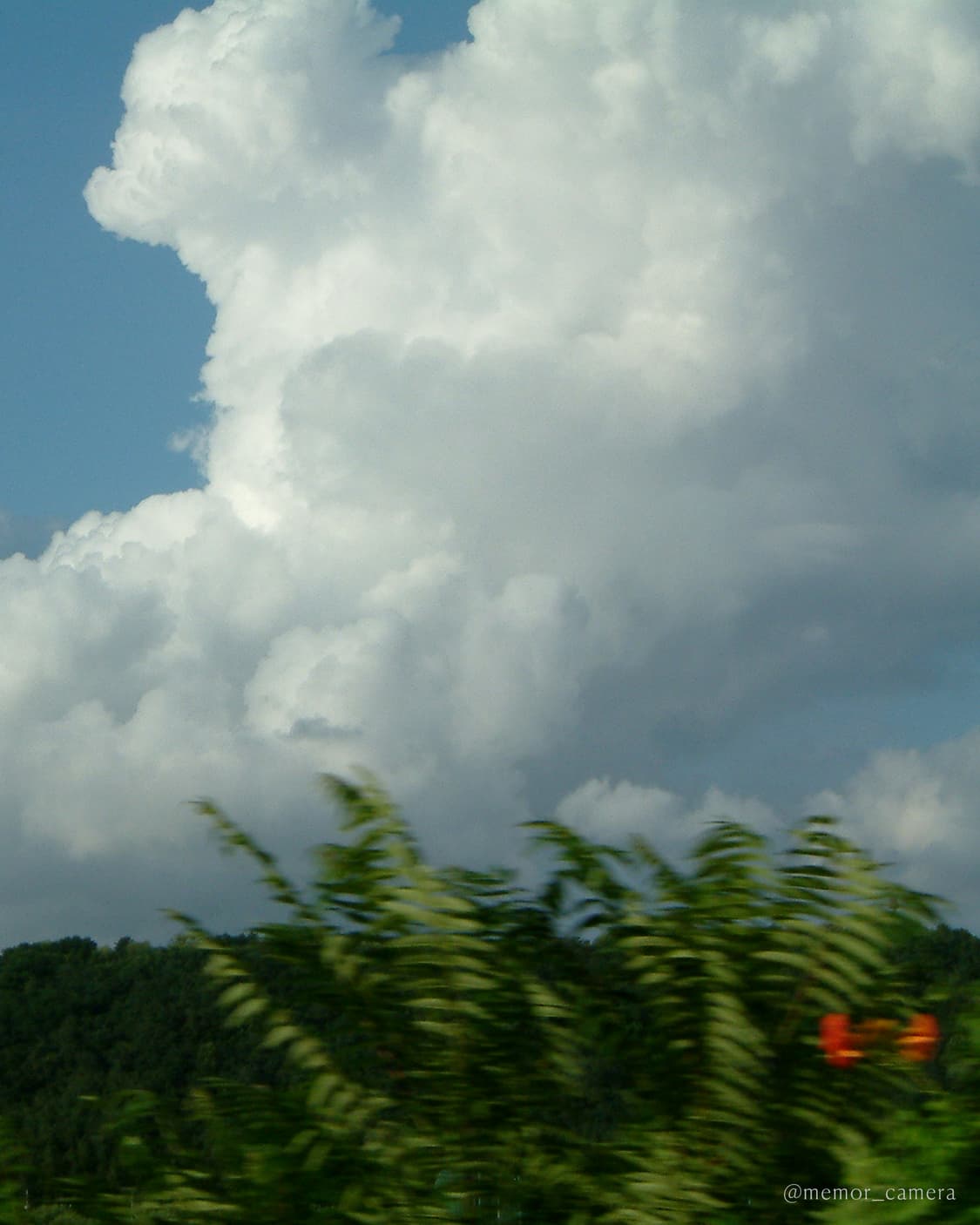 필카감성☁️ FUJIFILM Finepix F601 후지필름디카 민트급 상품이미지10