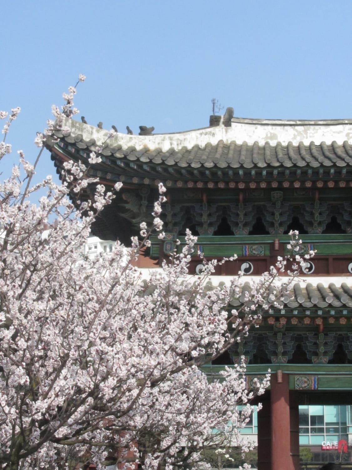 캐논 PowerShot SX230 HS (벚꽃 작례 O) 상품이미지4