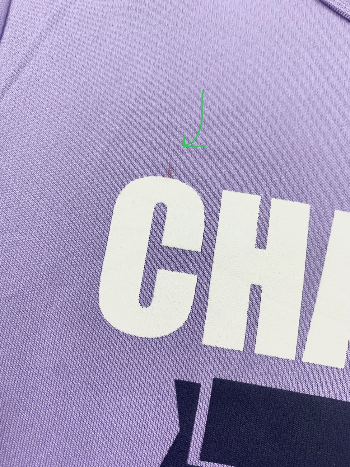CHAMPION AUTHENTIC PURPLE T-SHIRT 상품이미지6