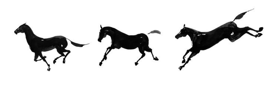 신년 맞이 할인 중 •• comienzo  상품이미지1