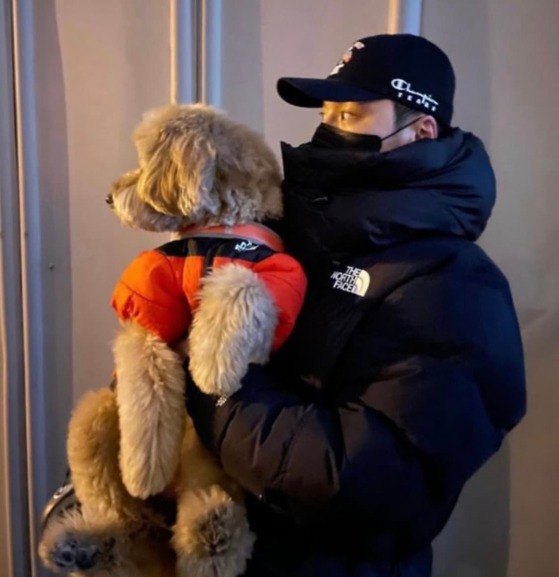 [XL] 노스페이스 힘다운 일본판 파카 블랙 상품이미지9