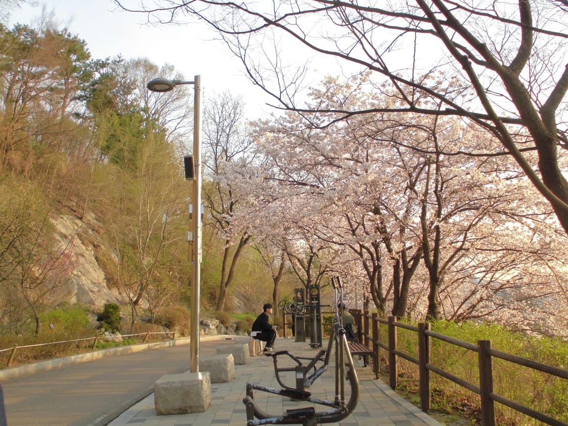 (작례!)Casio Exilim EX-ZS20디카 상품이미지3