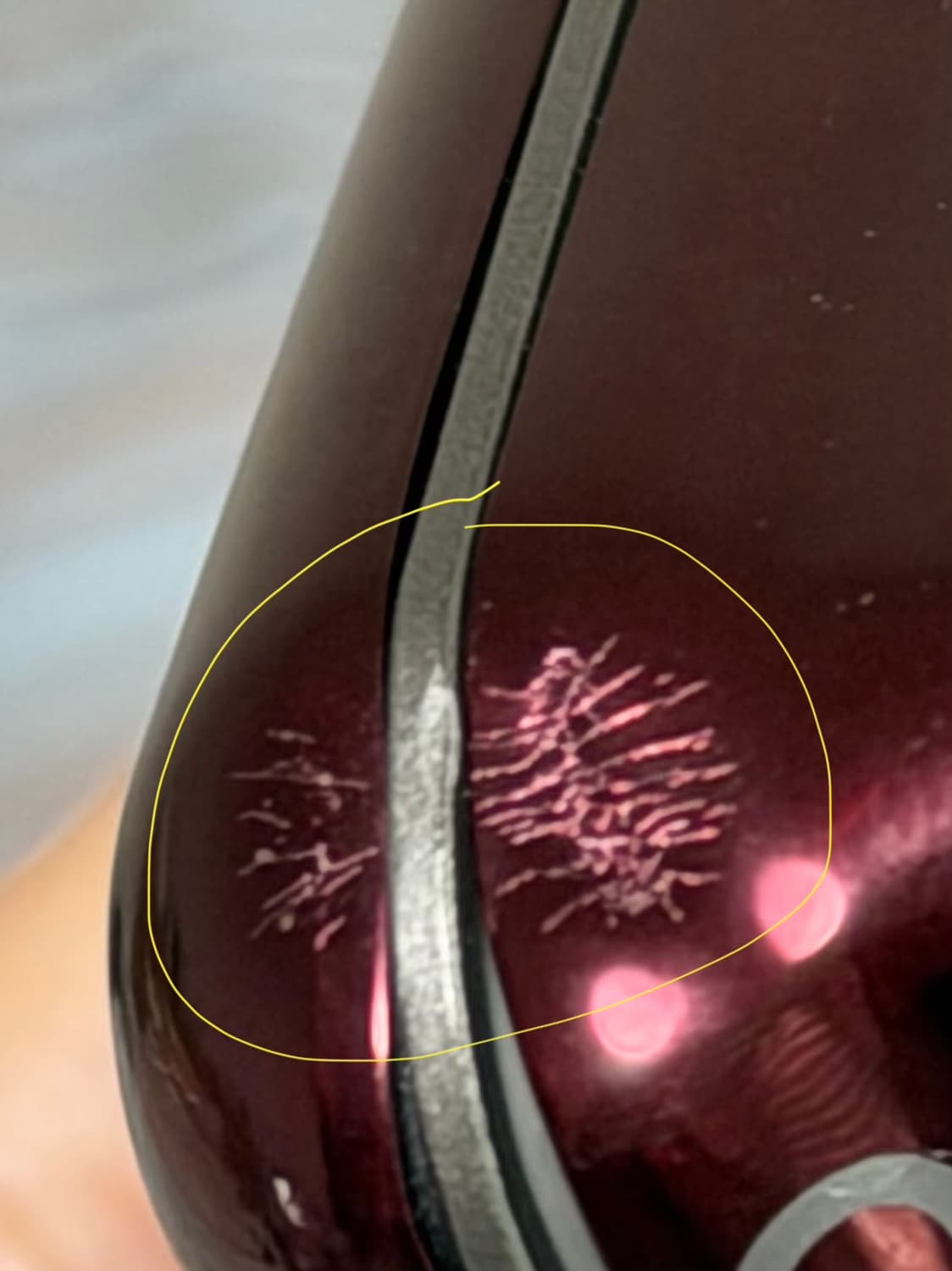 코니카 미놀타 디미지x1 빈티지 디카 상품이미지7