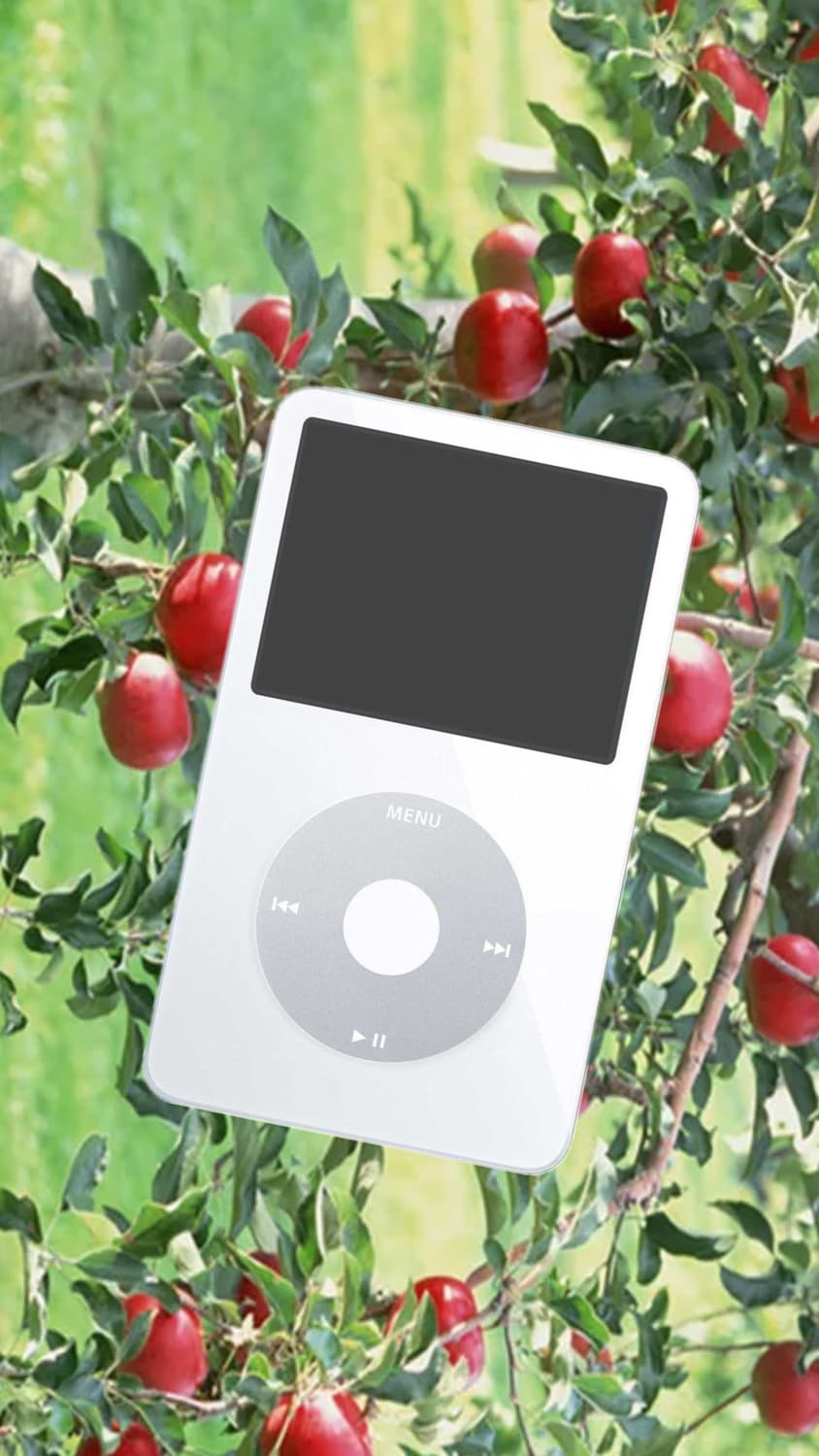 아이팟 5새대 상품이미지1