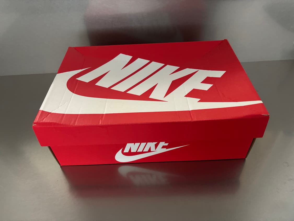 NIKE DUNK LOW RETRO VALERIAN BLUE 280 상품이미지2