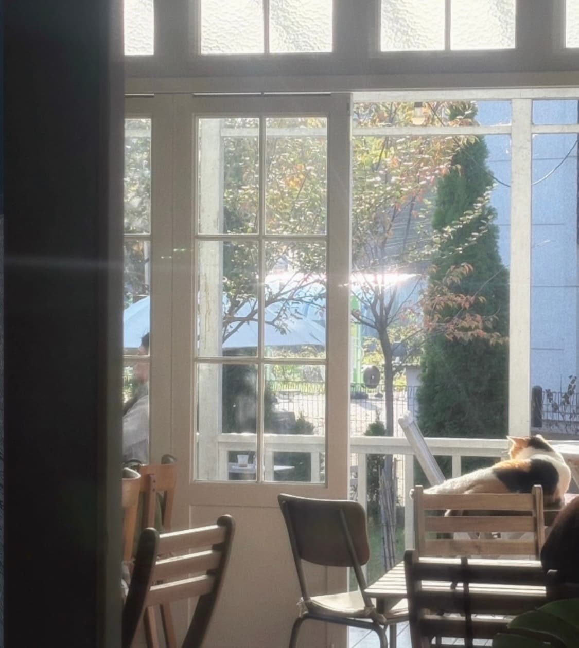 🎥 캐논 익서스 800 IS 디지털 카메라(빈티지 감성) 상품이미지10