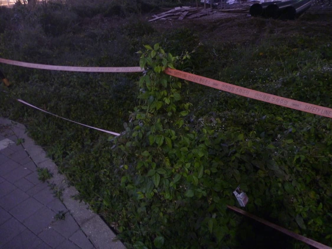 Parasonic LUMIX-FT2 디카 상품이미지5