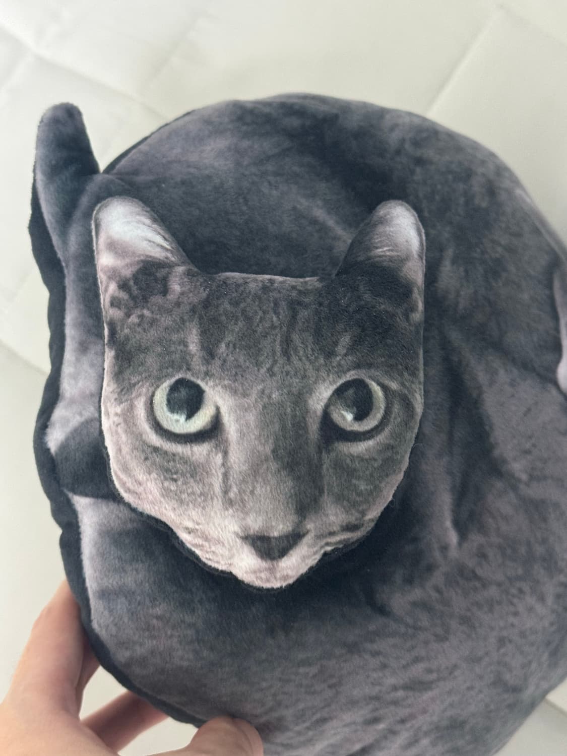 다나나 핀바루 고양이 쿠션 상품이미지2