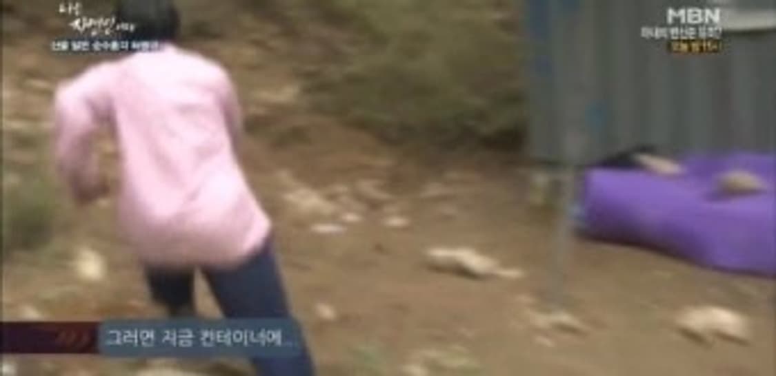 결제창 💗 상품이미지1