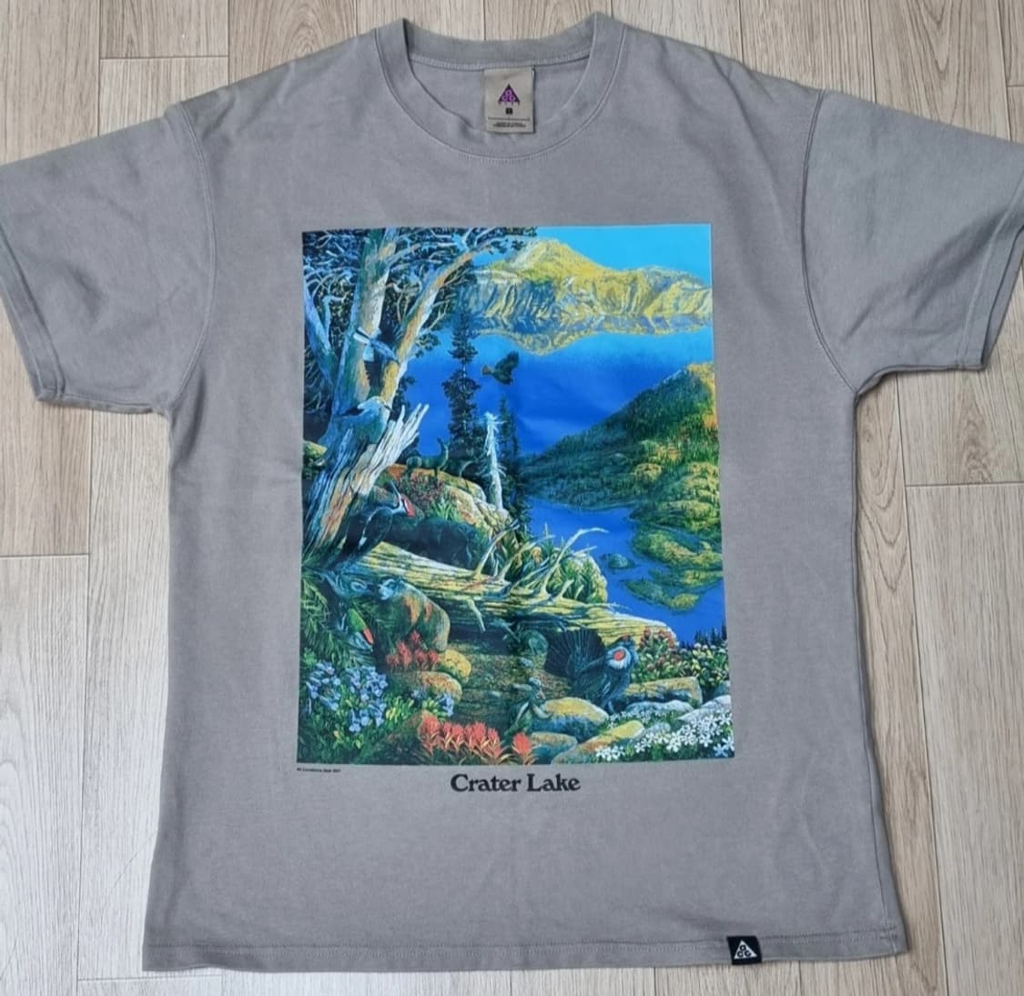 나이키 ACG 그래픽 티셔츠 100 상품이미지1