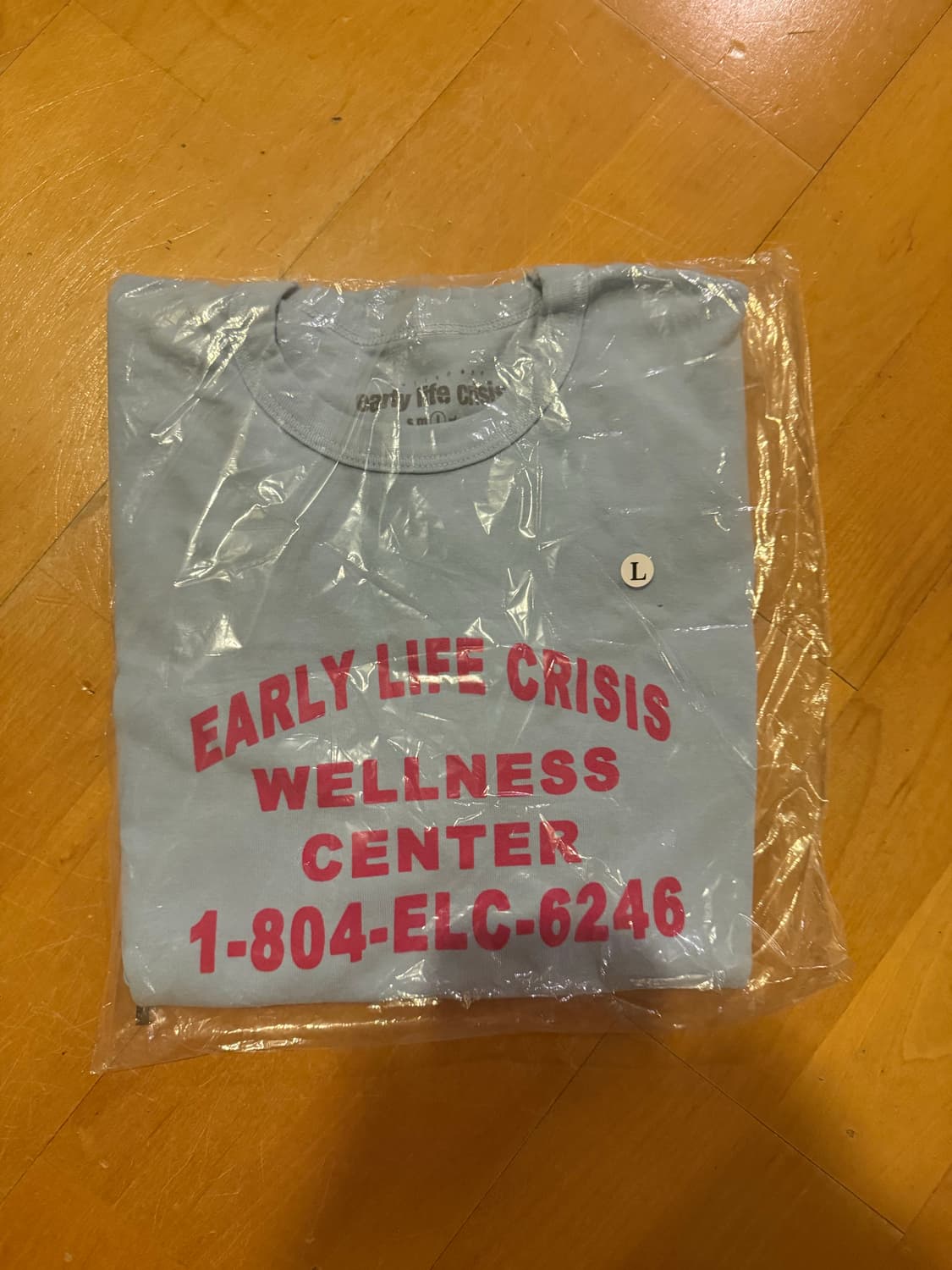 넷스펜드 early life crisis 머천다이즈 티셔츠 L  새상품 상품이미지2