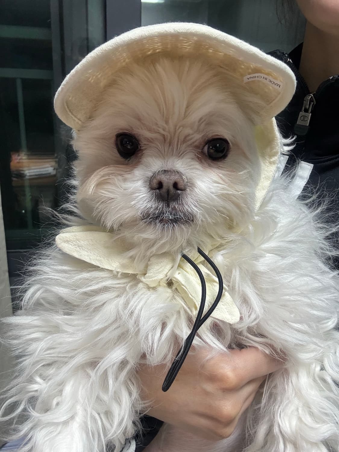 For Aii 상품이미지1