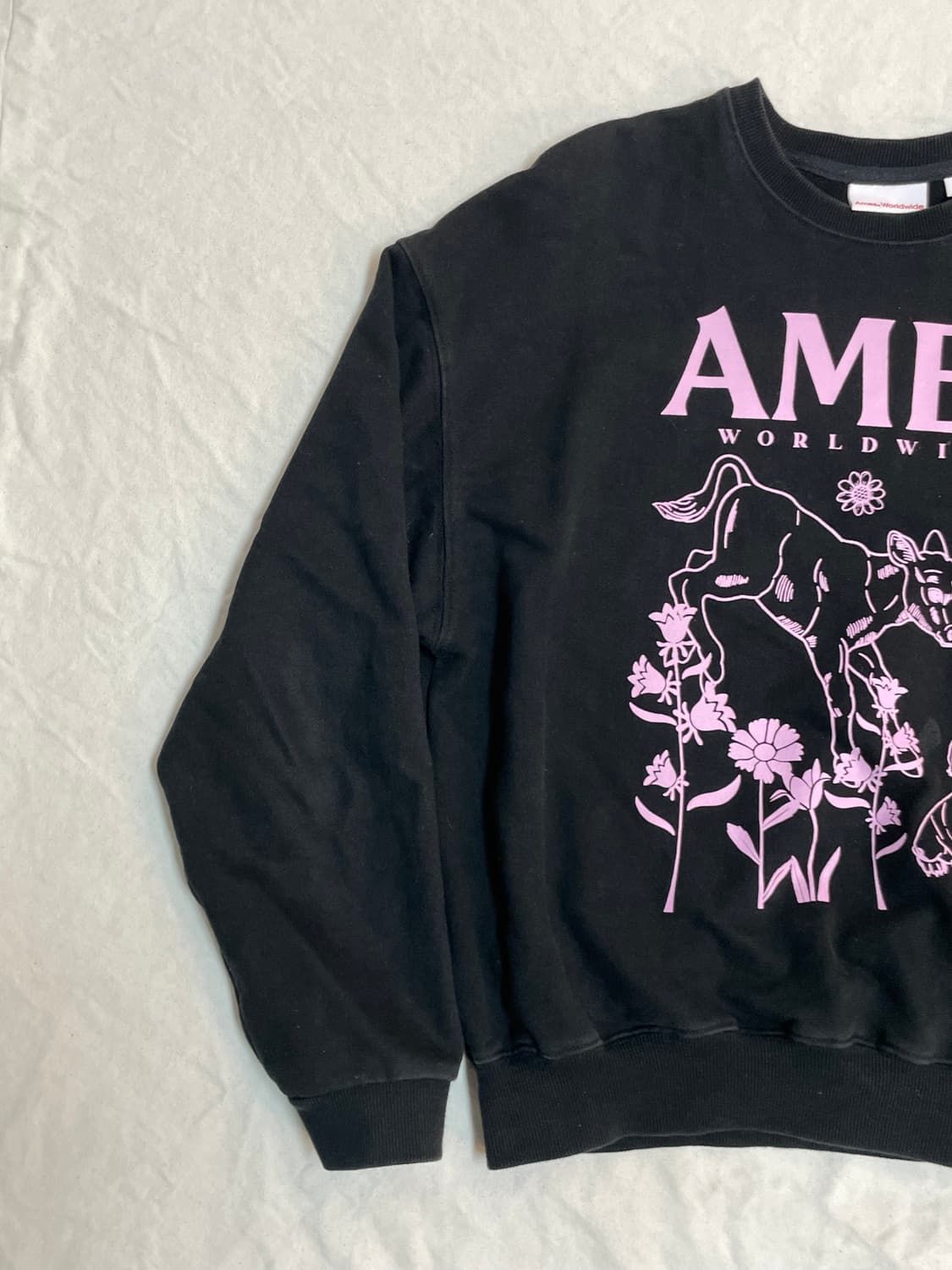 아메스 맨투맨  상품이미지3