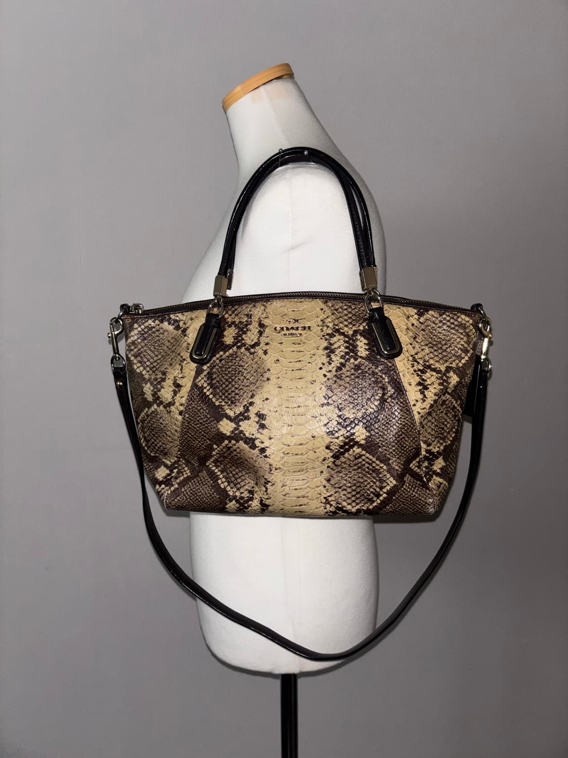 Coach snake pattern bag 상품이미지1