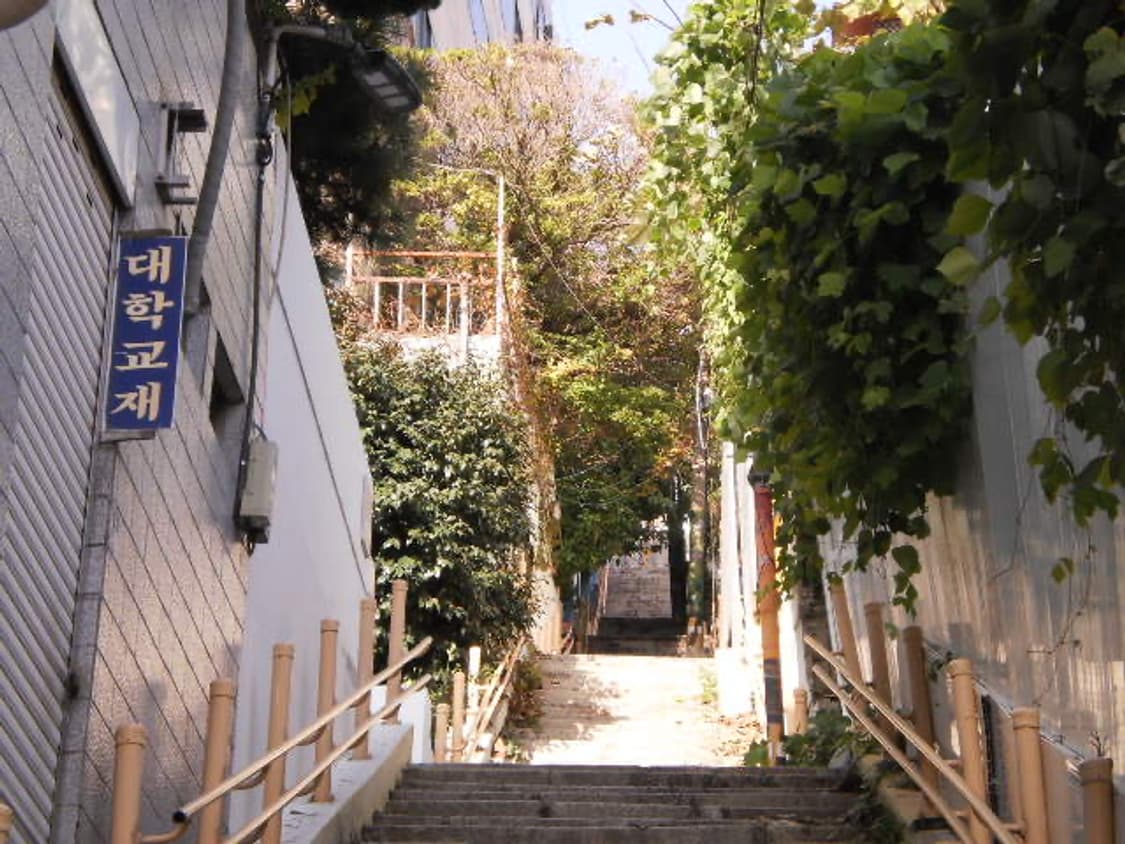 빈티지 디카 올림푸스 (Olympus) T-110 풀구성 상품이미지7