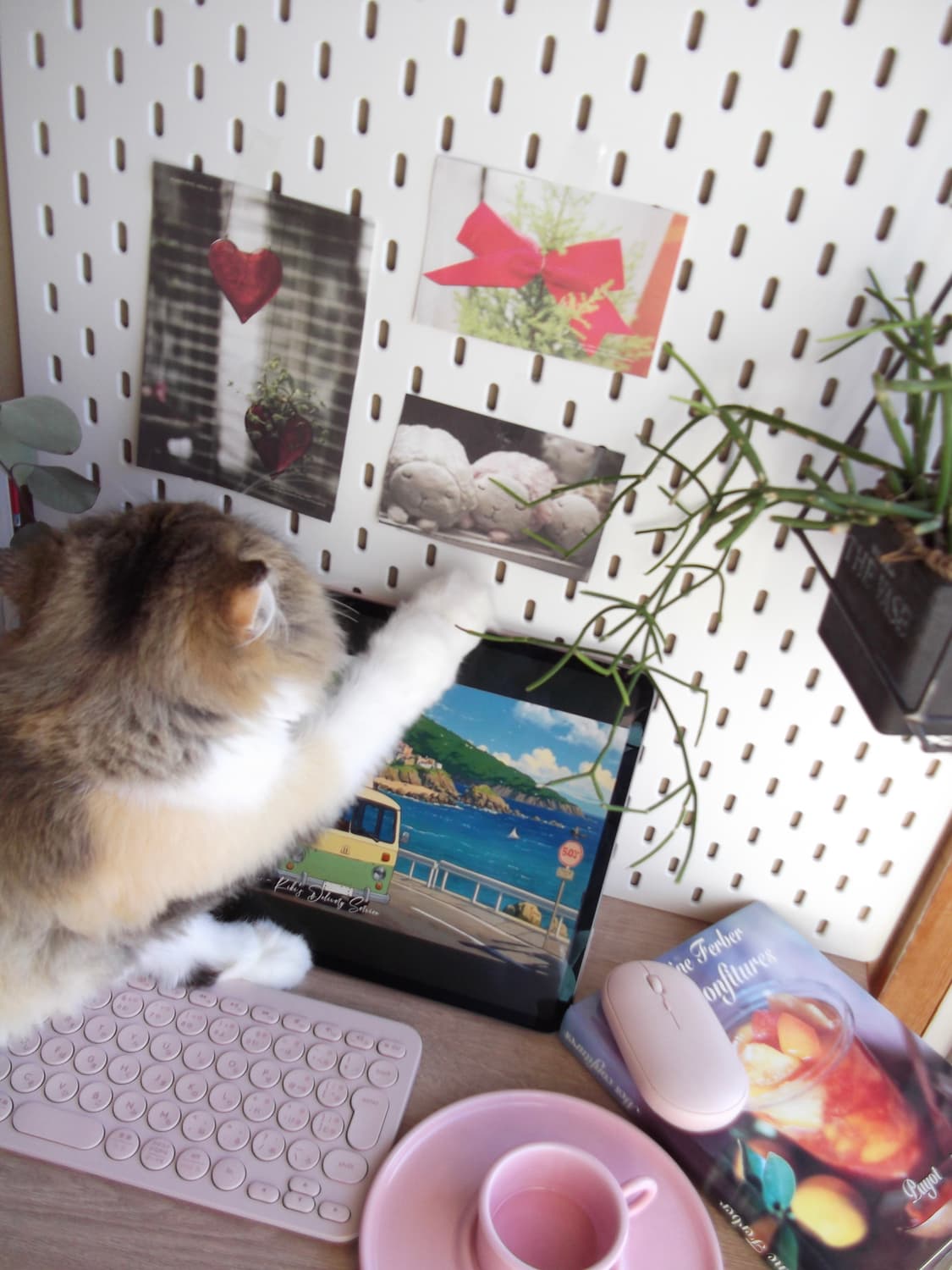 ✨새상품/풀박스✨후지필름 파인픽스 AV150 메탈릭 실버 상품이미지10