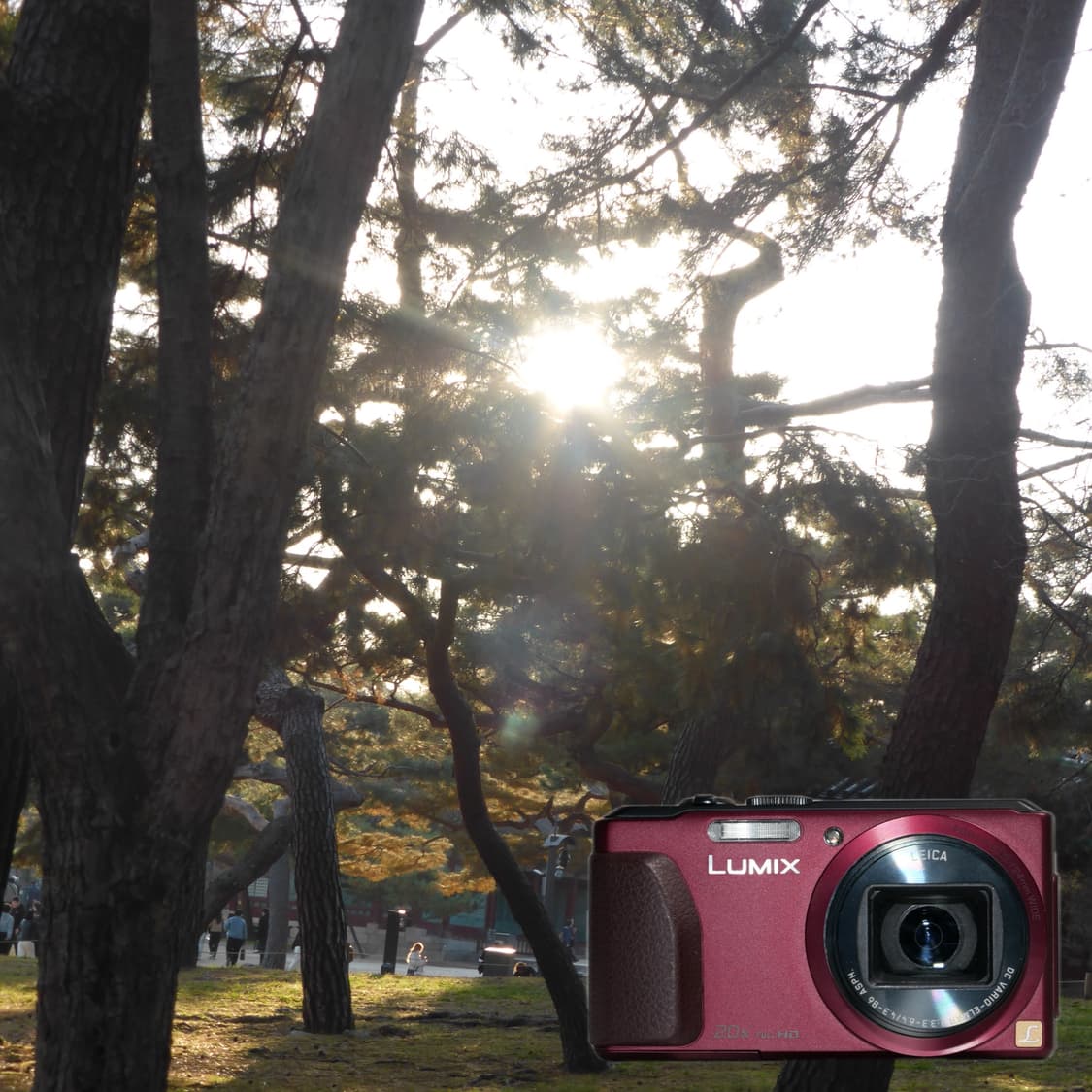 Panasonic TZ40 (✨민트급/라이카) 상품이미지2