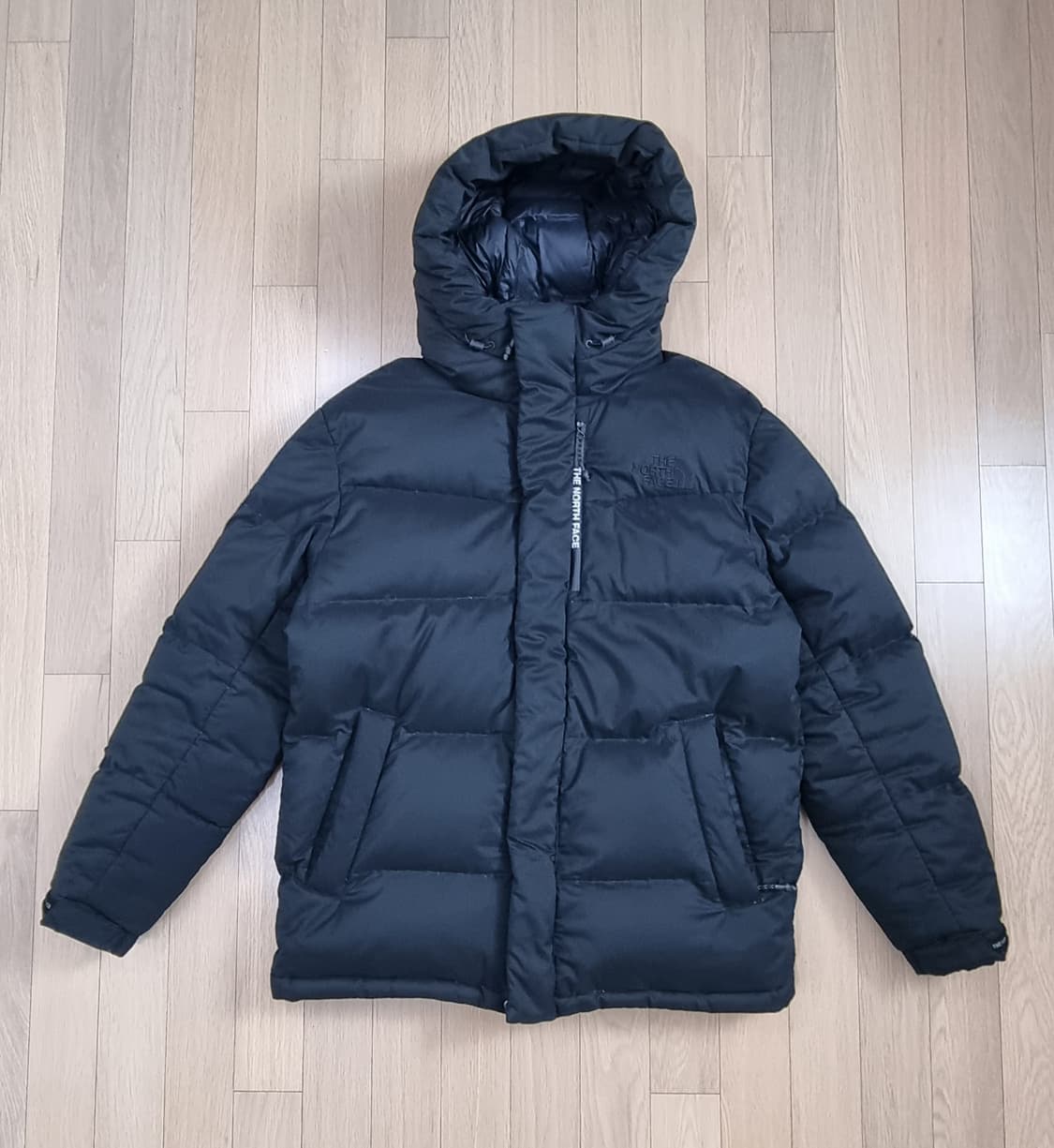 노스페이스 블랙라벨 DRYVENT 구스 패딩 L _ 남성 상품이미지1