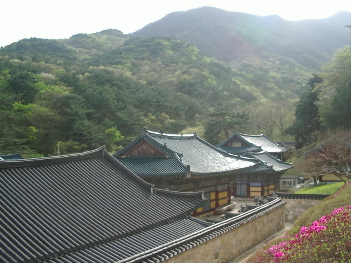 펜탁스 옵티오 230 상품이미지7