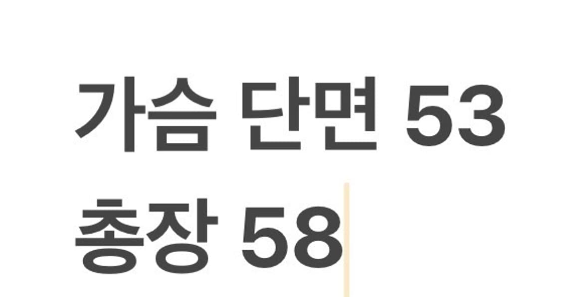 [정품] CARAVAN 레드 피싱 조끼 b10 상품이미지7