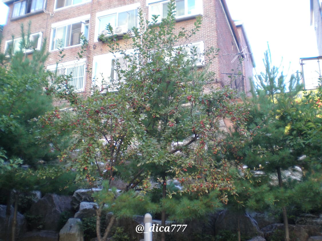 올림푸스 FE-180 디카 상품이미지10