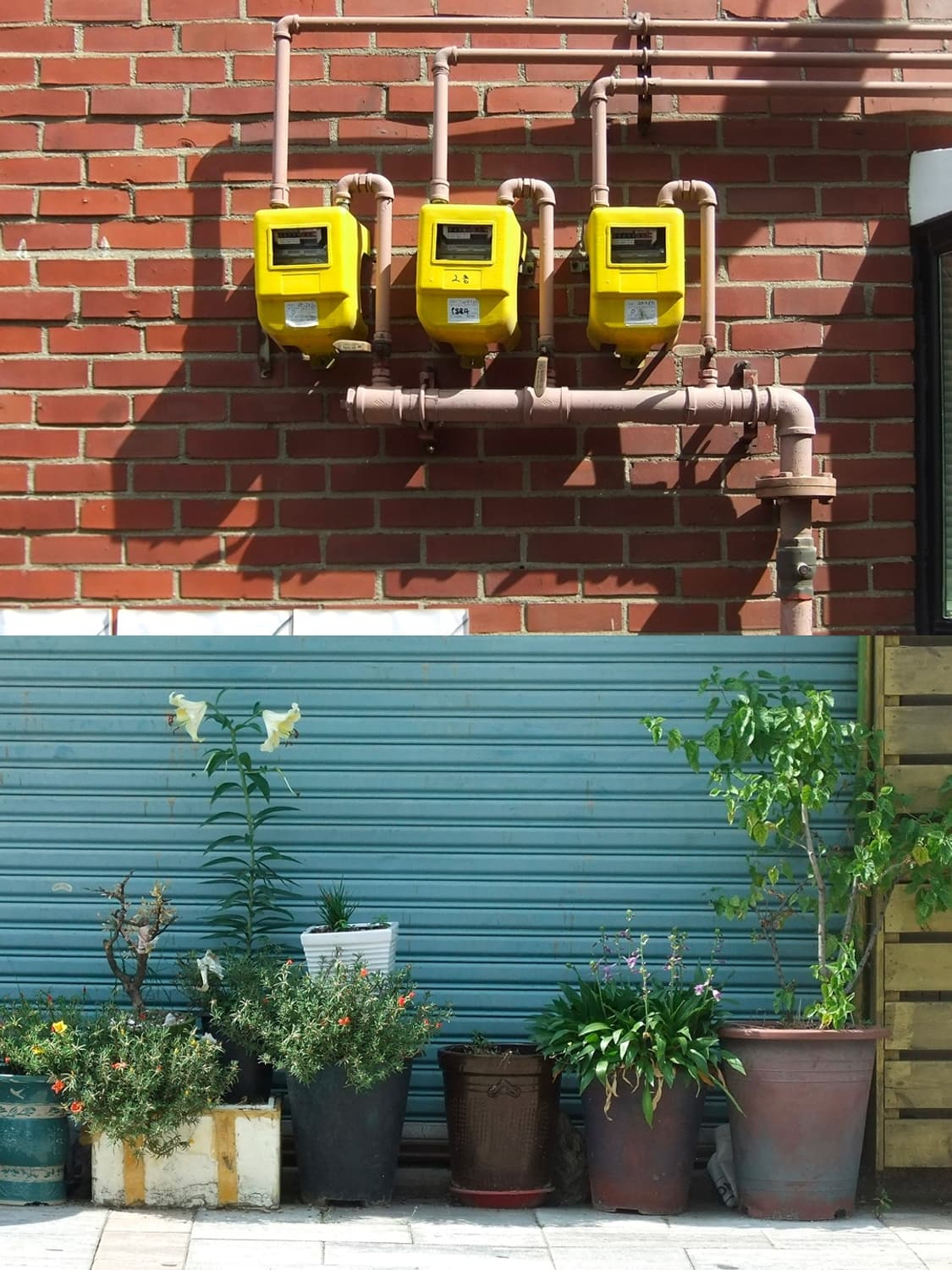 🍫 후지필름 파인픽스 F70 EXR 🍫 빈티지 디카 상품이미지5