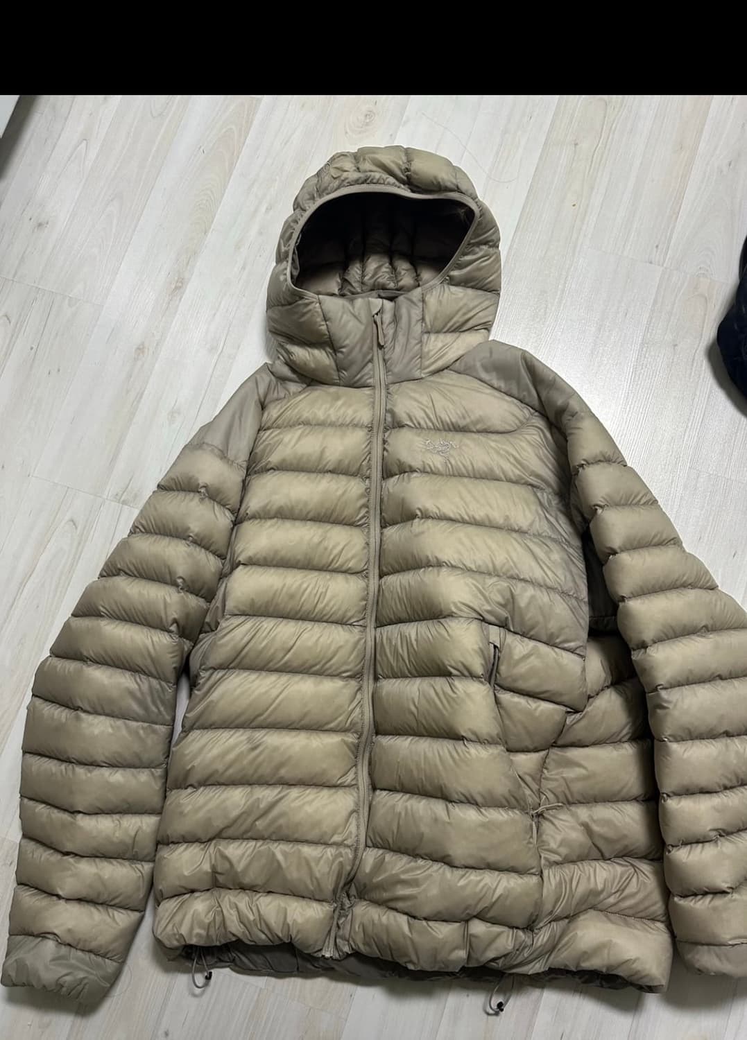 아크테릭스 세륨 후디 룬 상품이미지2