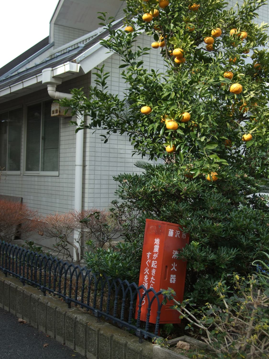 Fujifilm Finepix f50fd 상품이미지8