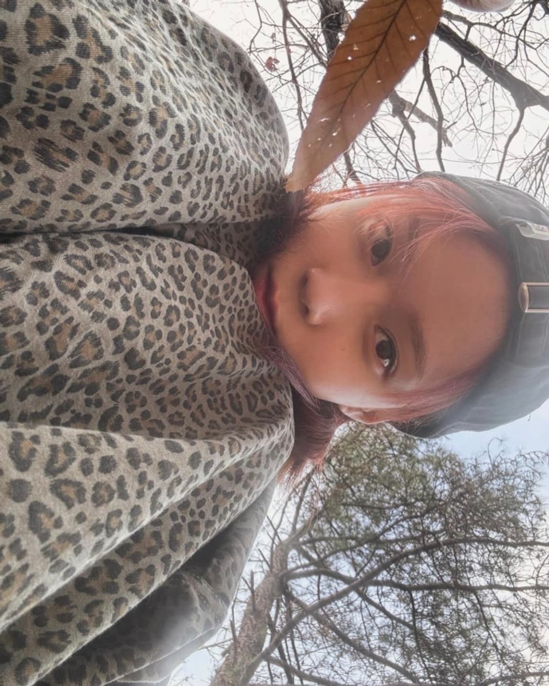 에즈이프캘리 파라슈트 팬츠 레오파드 as if calie 상품이미지2