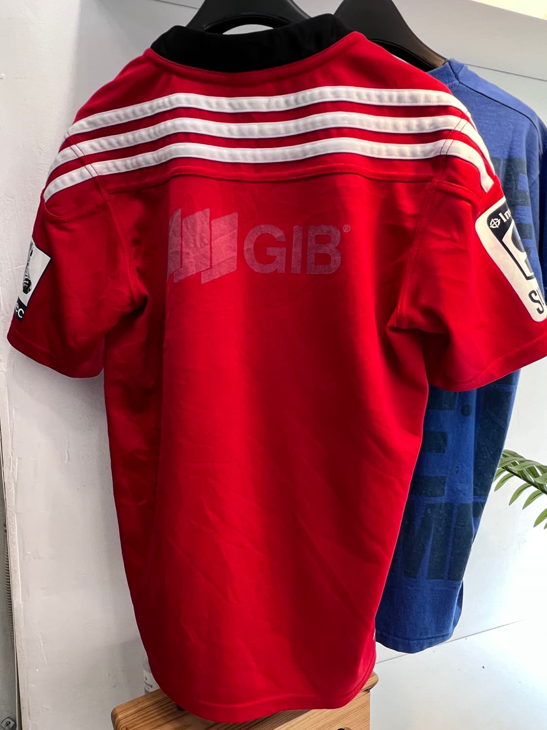 Adidas crusaders lugby uniform 후루츠패밀리