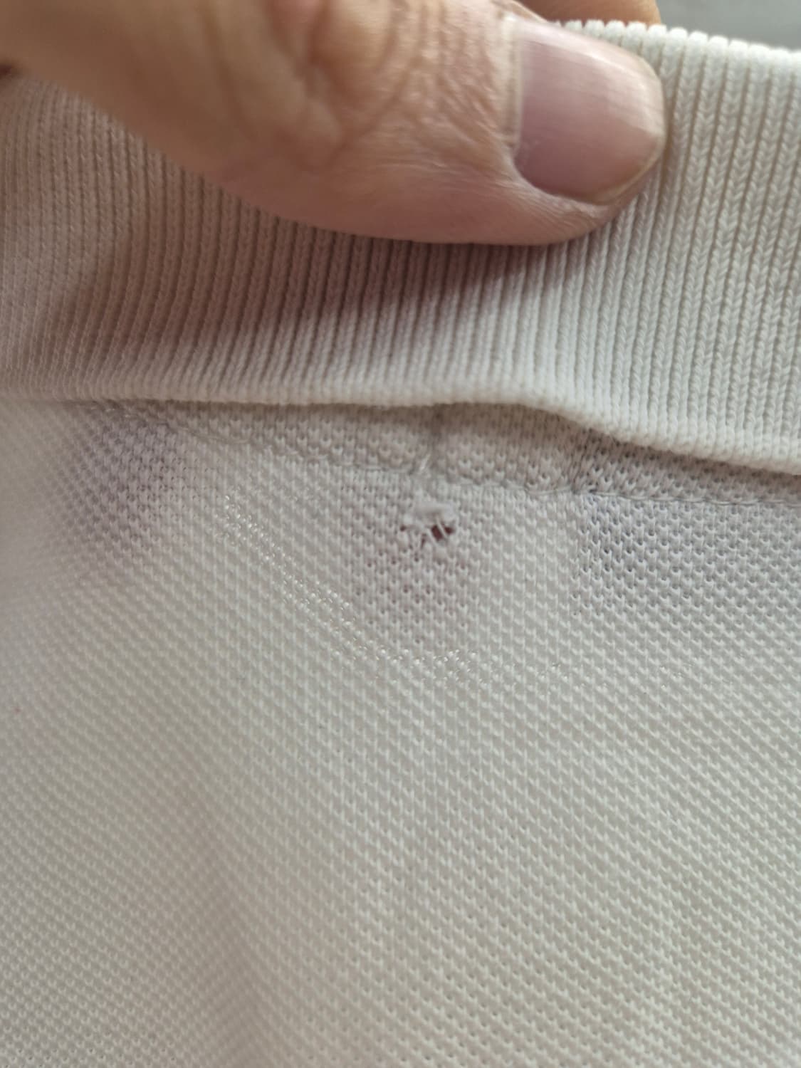폴로 랄프로렌 커스텀핏 카라티 L 상품이미지4