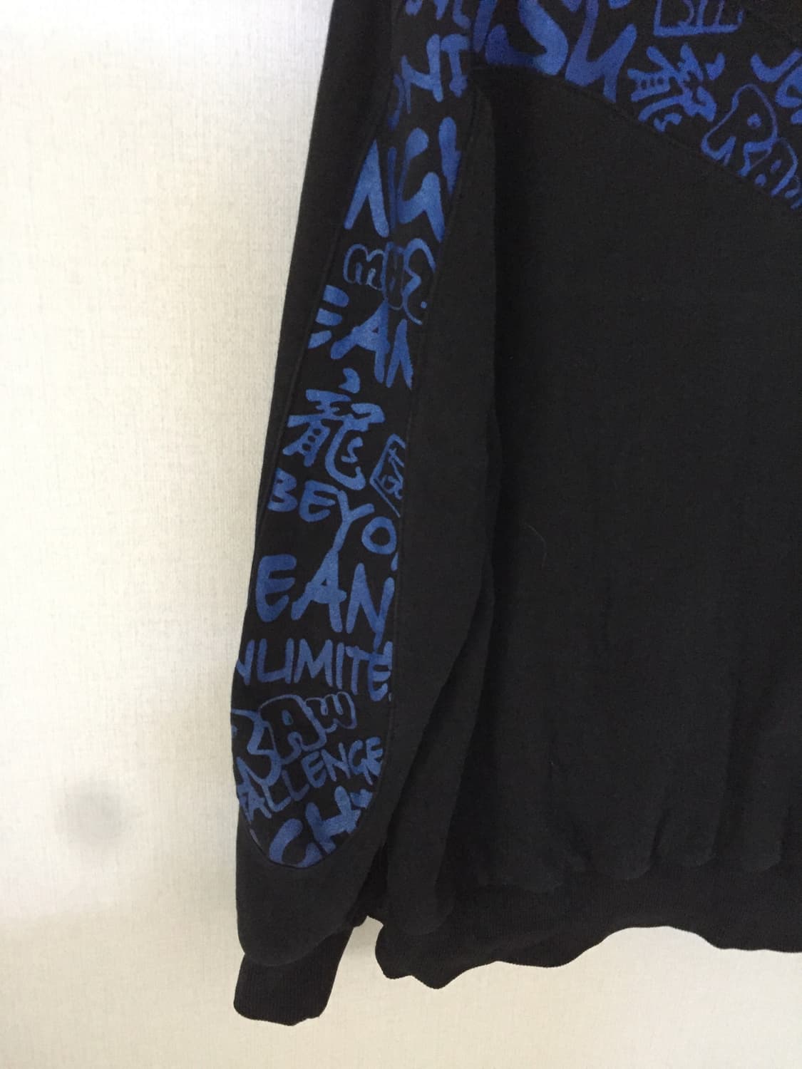Evisu 후드티 상품이미지9