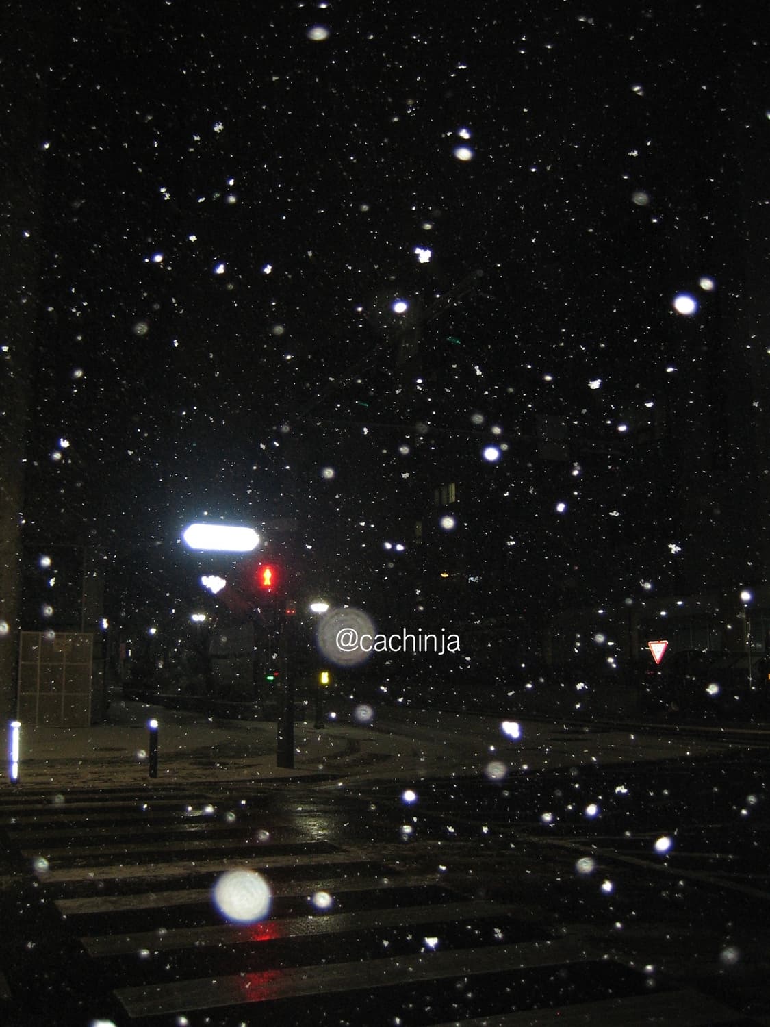 빈티지디카 canon ixy 50 캐논익시 50(=캐논 익서스 40) 상품이미지8