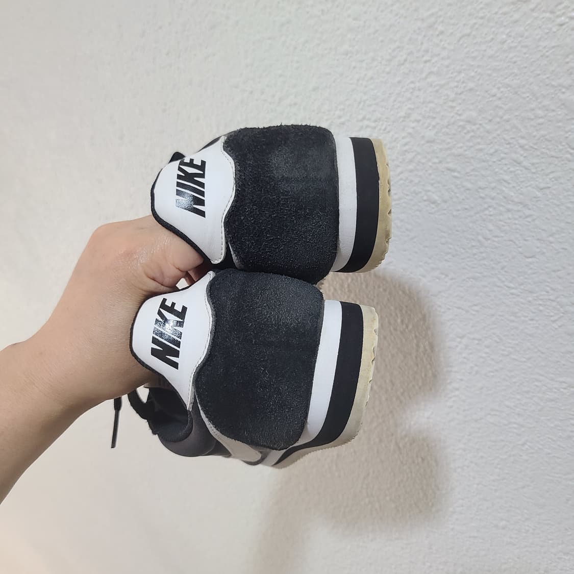 코르테즈 텍스타일 270 상품이미지7