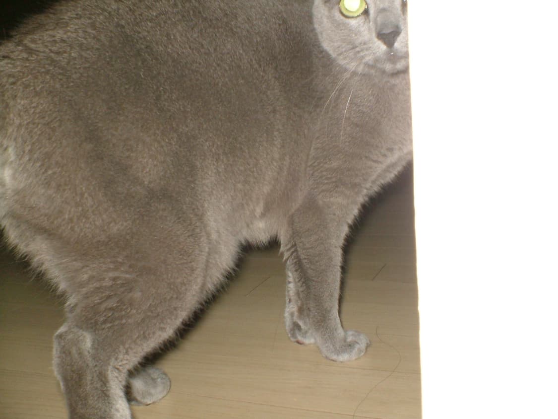 후지필름 파인픽스 A605 상품이미지10