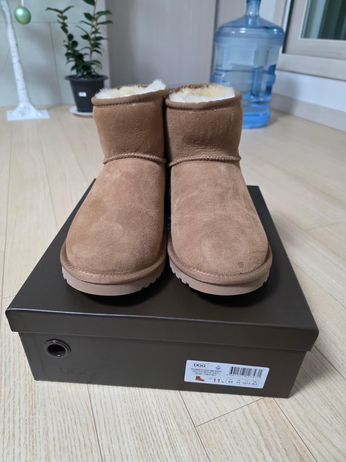 호주 어그 290 입니다 새상품 상품이미지1