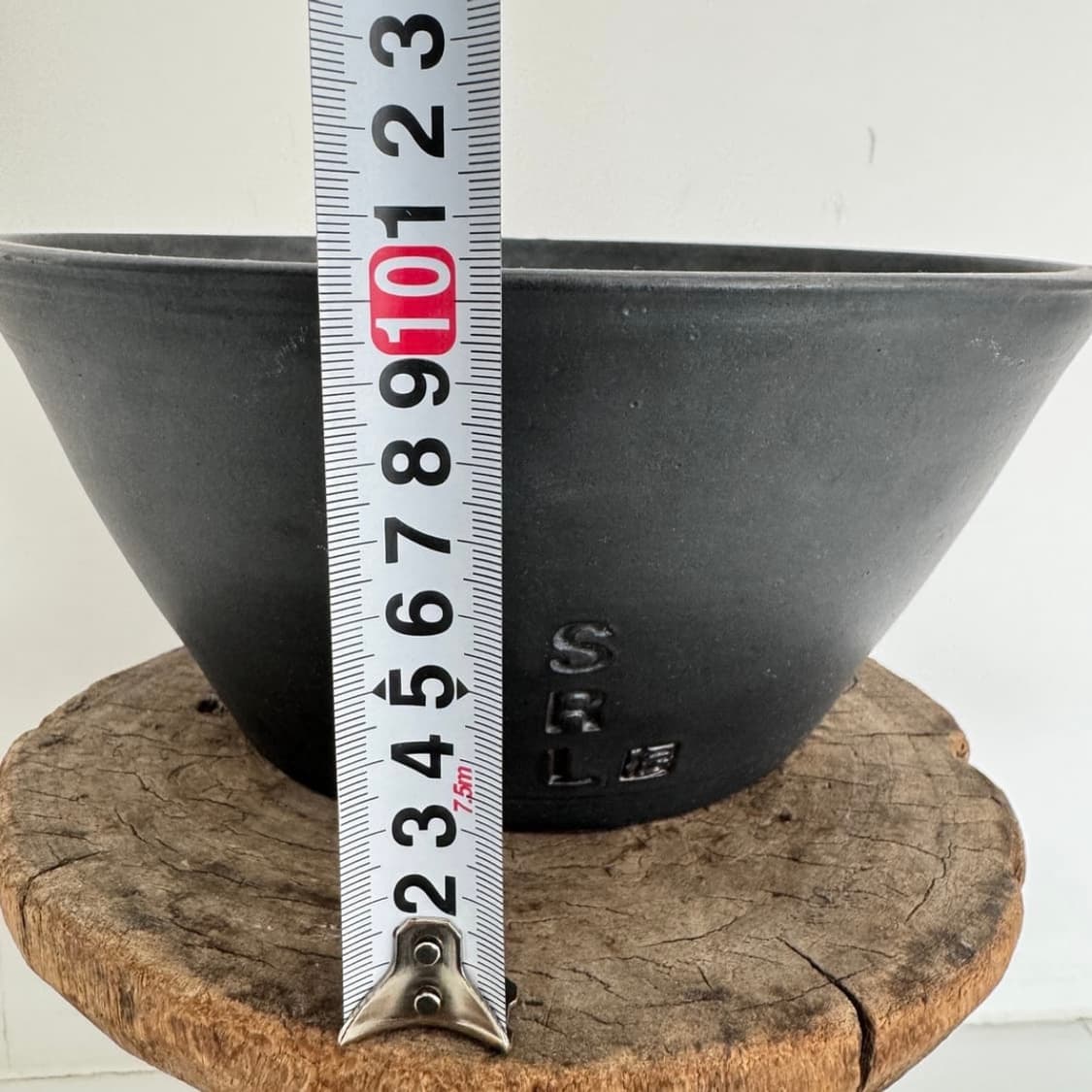 🇯🇵 네이버후드 SRL 코덱스 괴근 아프리카 식물 화분 상품이미지2