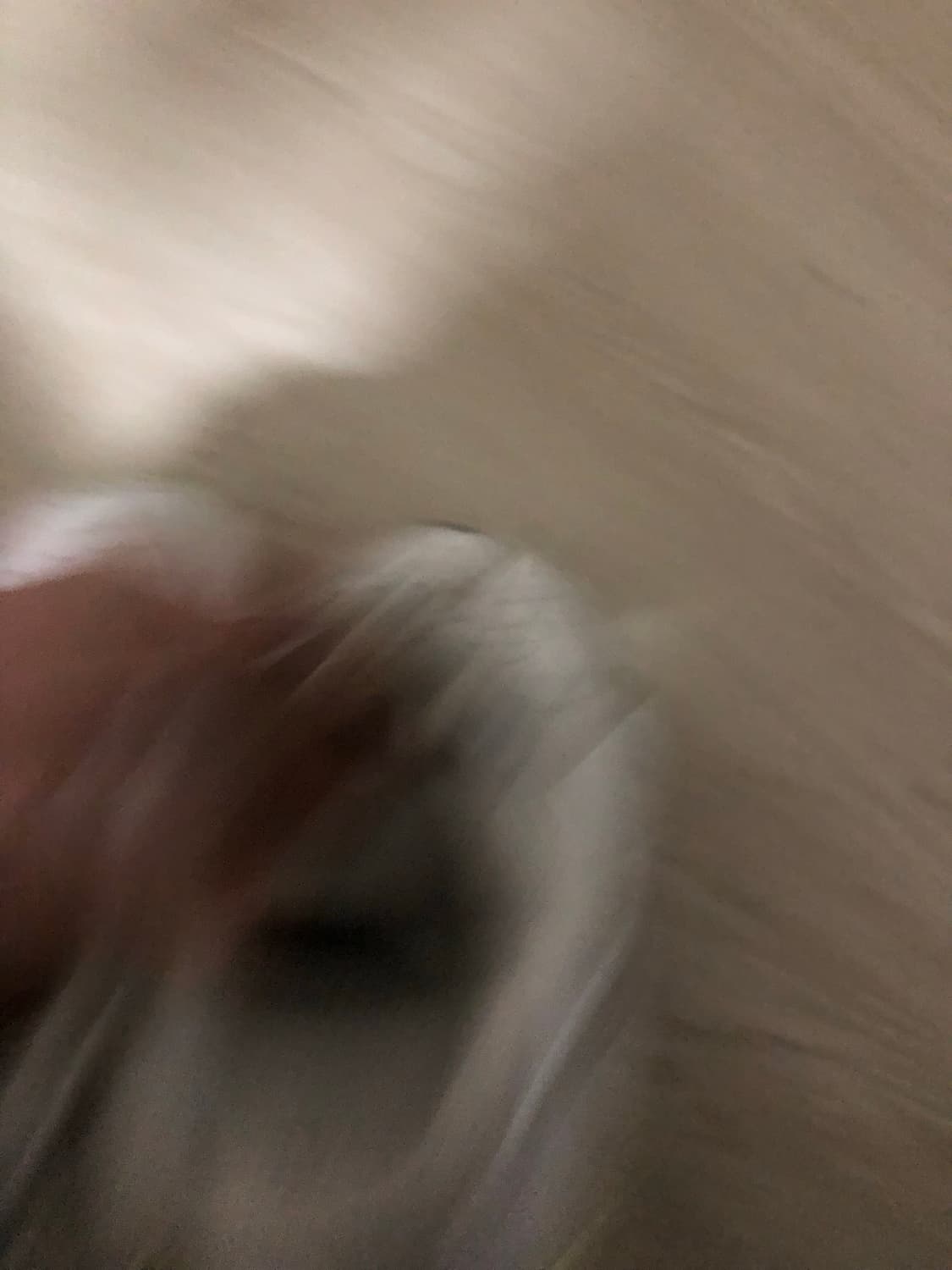 나이키 에어포스 올 백 240 사이즈 상품이미지5