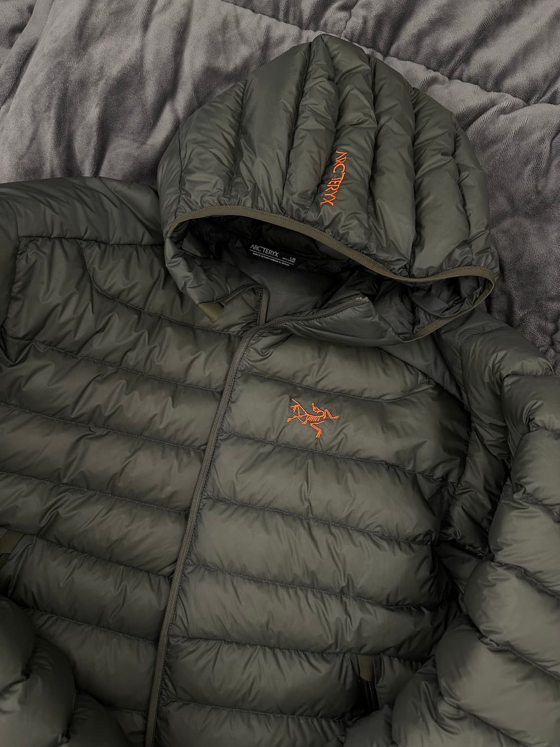 [L] 아크테릭스 세륨 포리지 베르베 상품이미지2