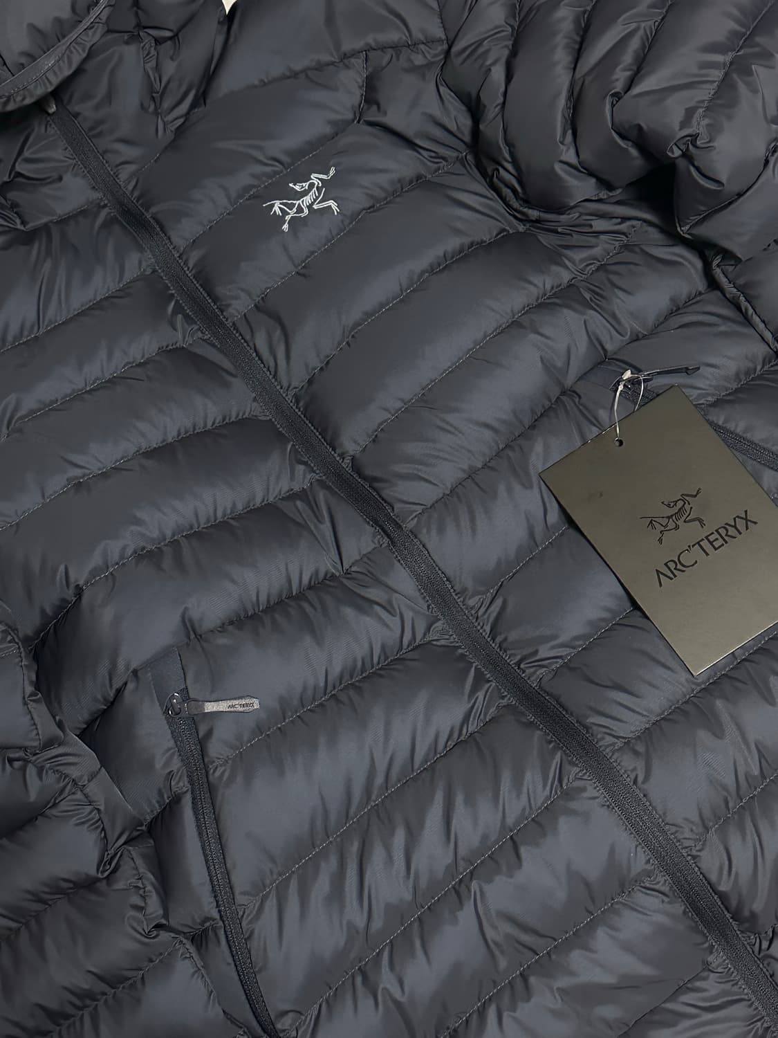 아크테릭스 세륨 후디 블랙 사파이어 상품이미지1