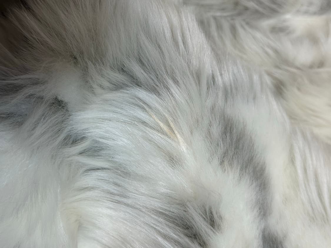 나체 퍼자켓 상품이미지4