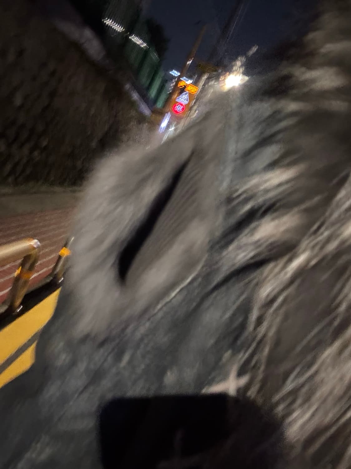 “00s Vkei Style eyelet fur long coat“ 상품이미지2