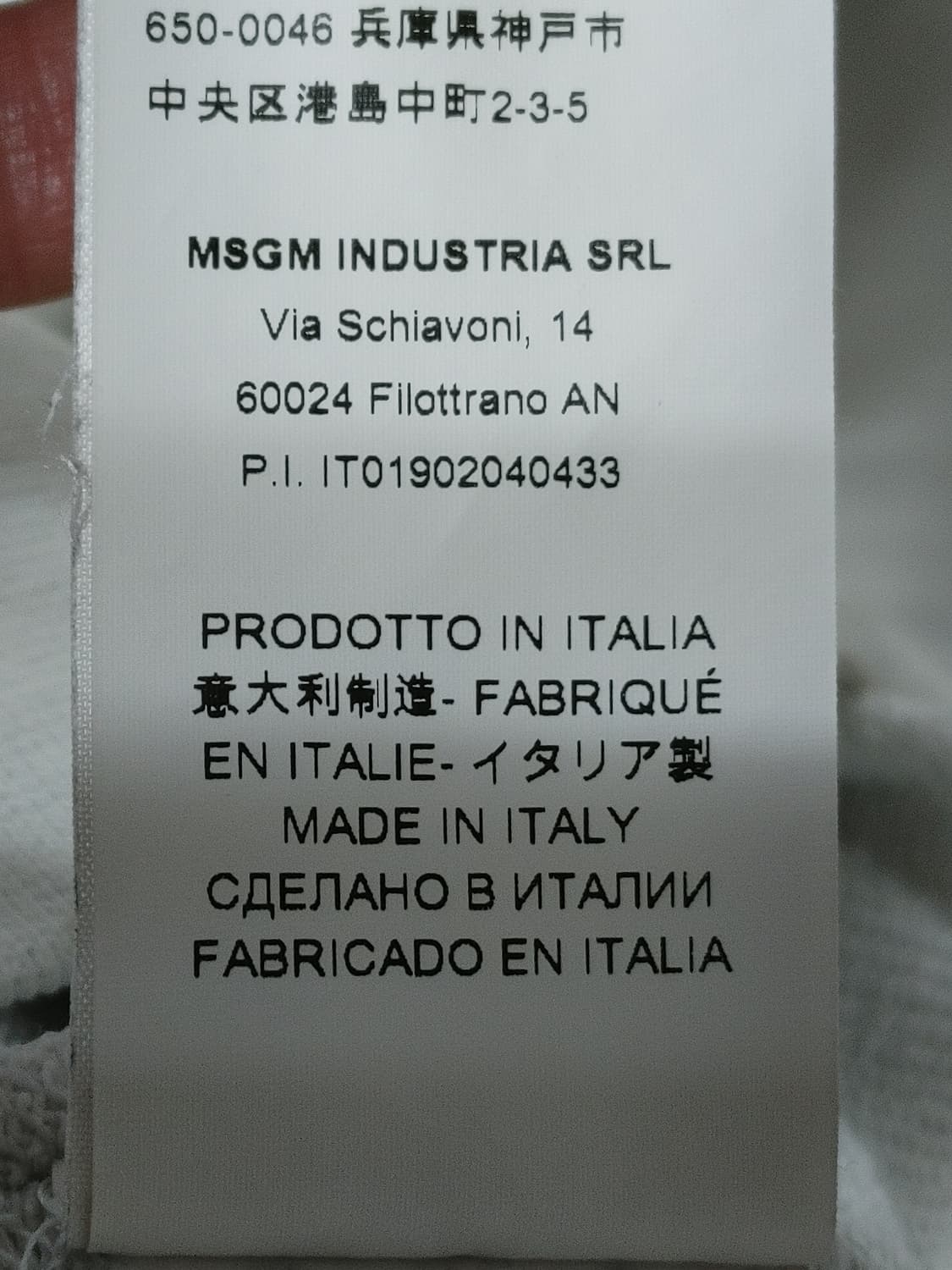 MSGM 엠에스지엠 야자수 프린팅 오버핏 맨투맨 상품이미지10