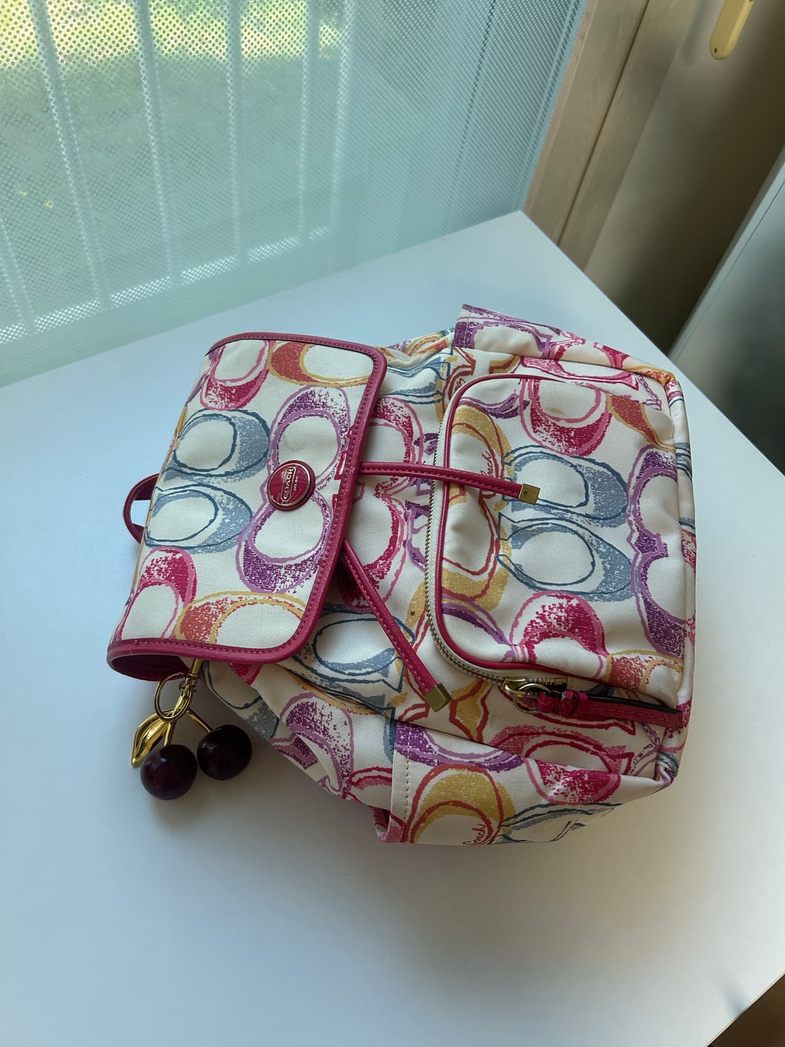 희귀🛍️💕))코치 시그니처 백팩 핑크 멀티컬러 상품이미지2