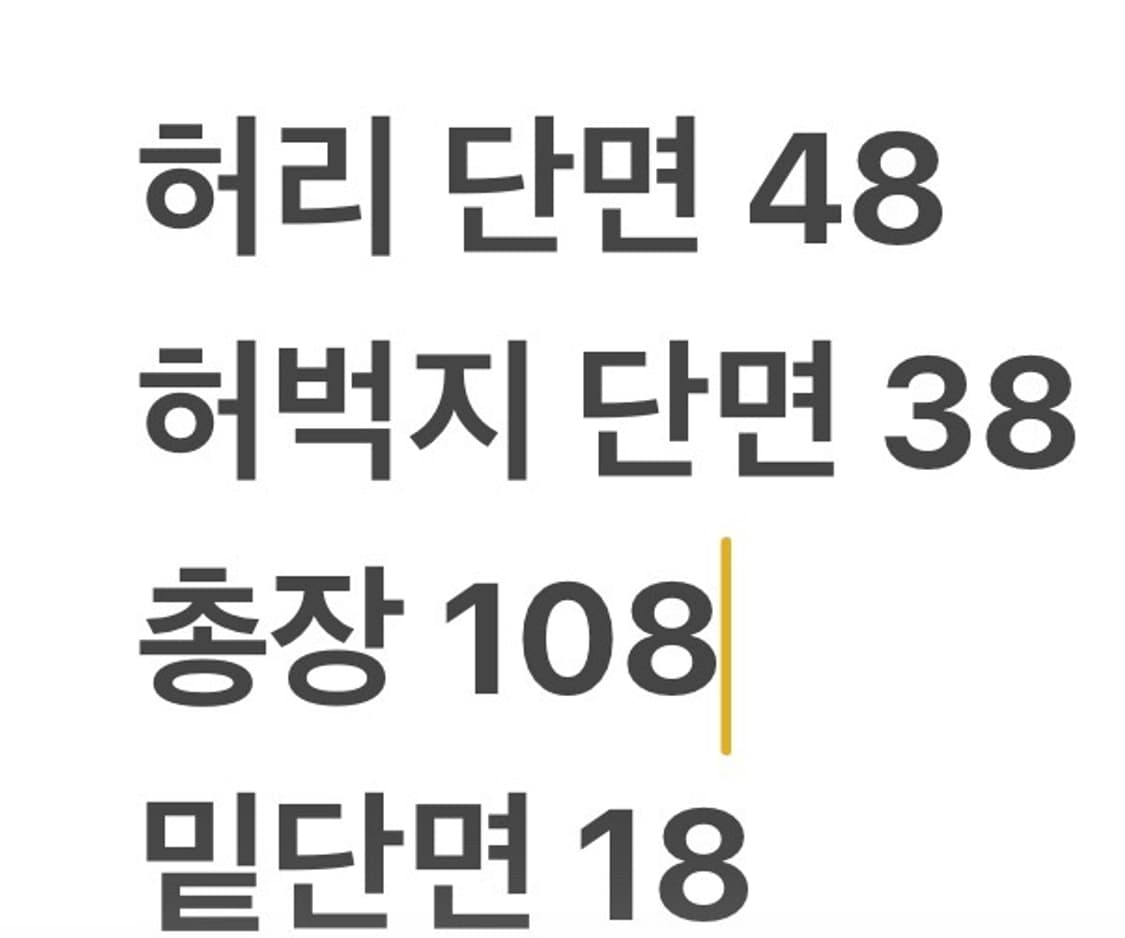 [정품/XL] 마운틴하드웨어 카고 바지 b16 상품이미지7