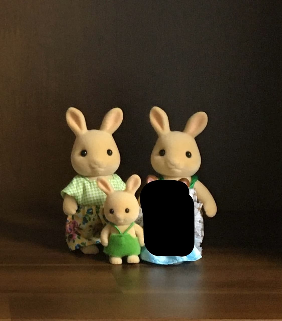 실바니안 패밀리 판매합니다 상품이미지1