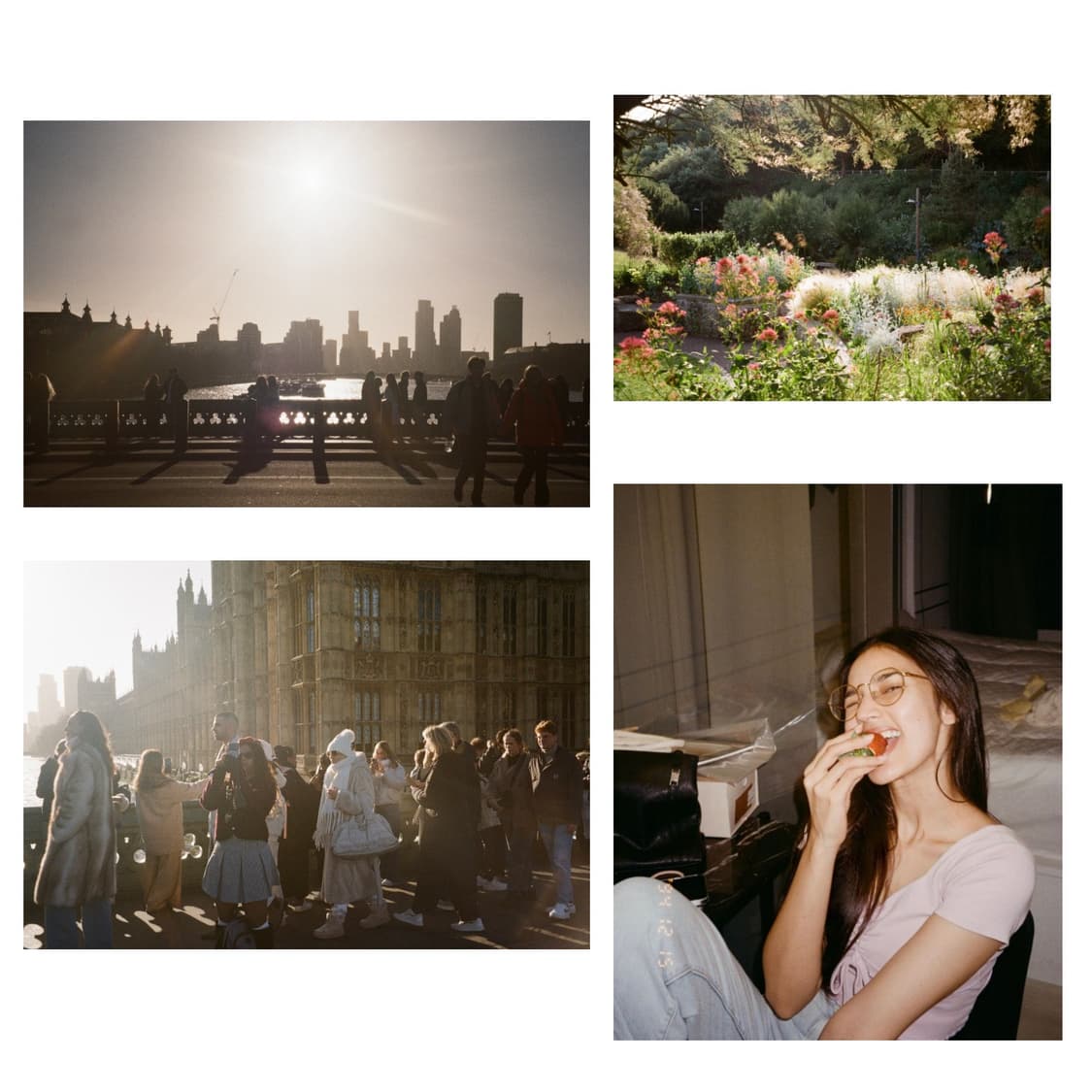 사쿠라님 필카 펜탁스 에스피오 140 상품이미지4